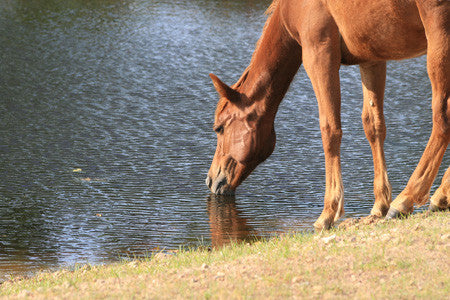 Are You Dehydrated? 10 Signs & Symptoms to Look for