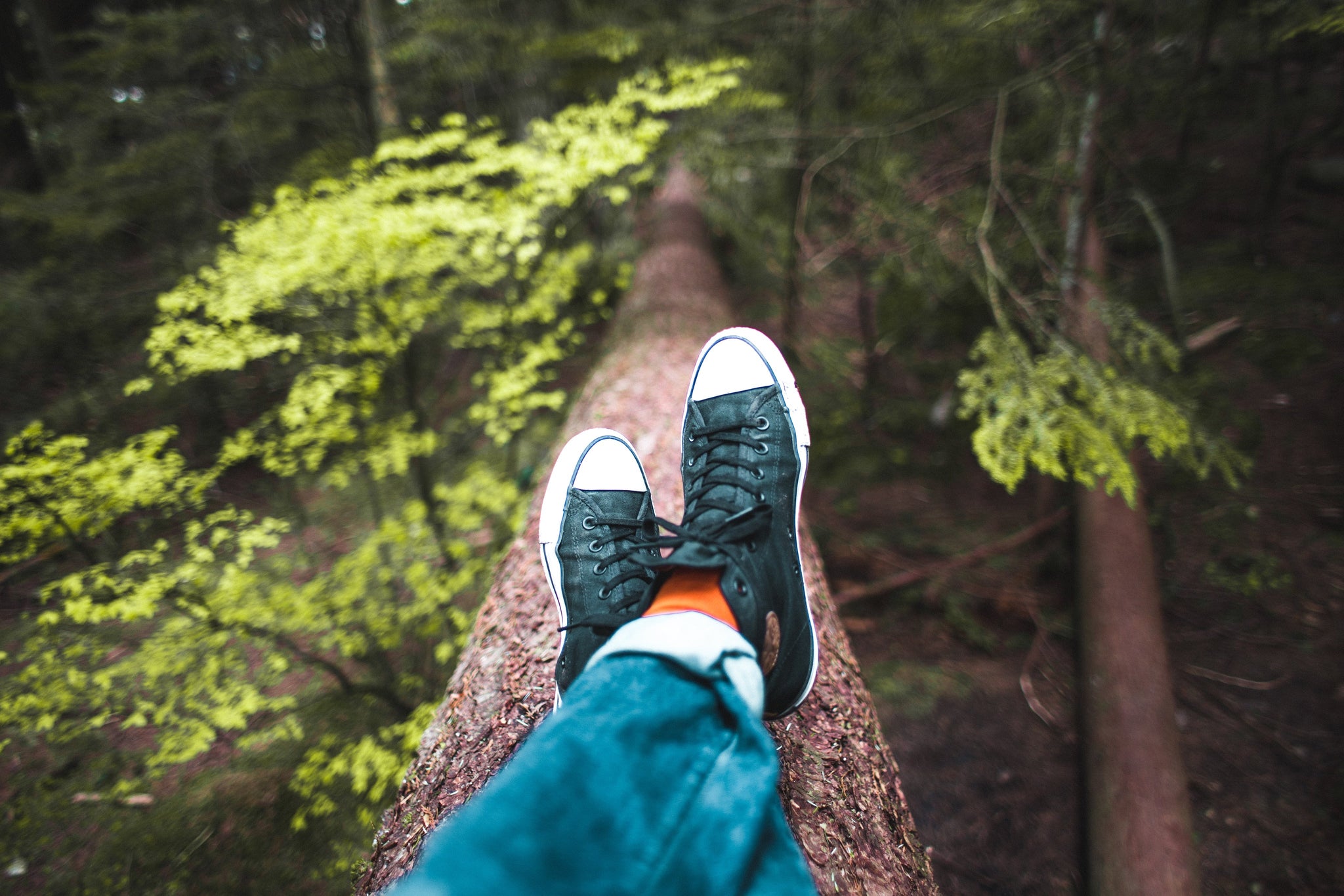 Finding Joy in the Everyday