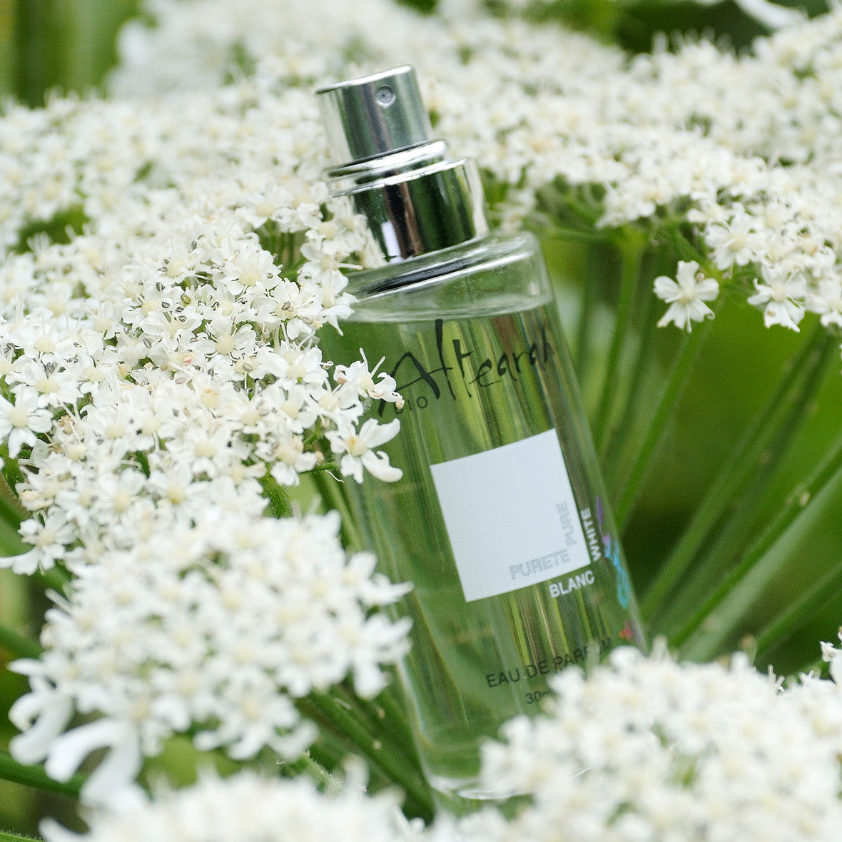 Parfum de Soin